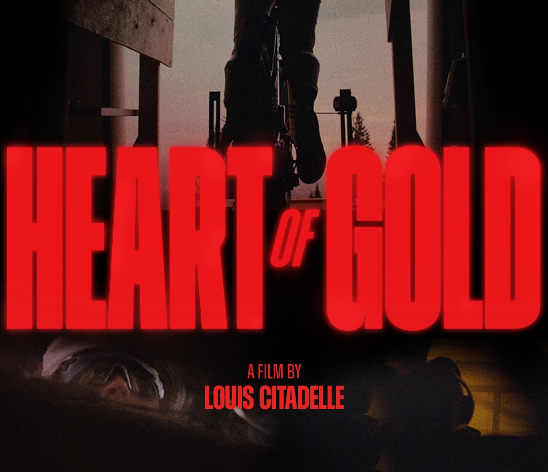 250214_Valli_Hoell_Heart_of_Gold_Newsletter_1080x1350 (1)